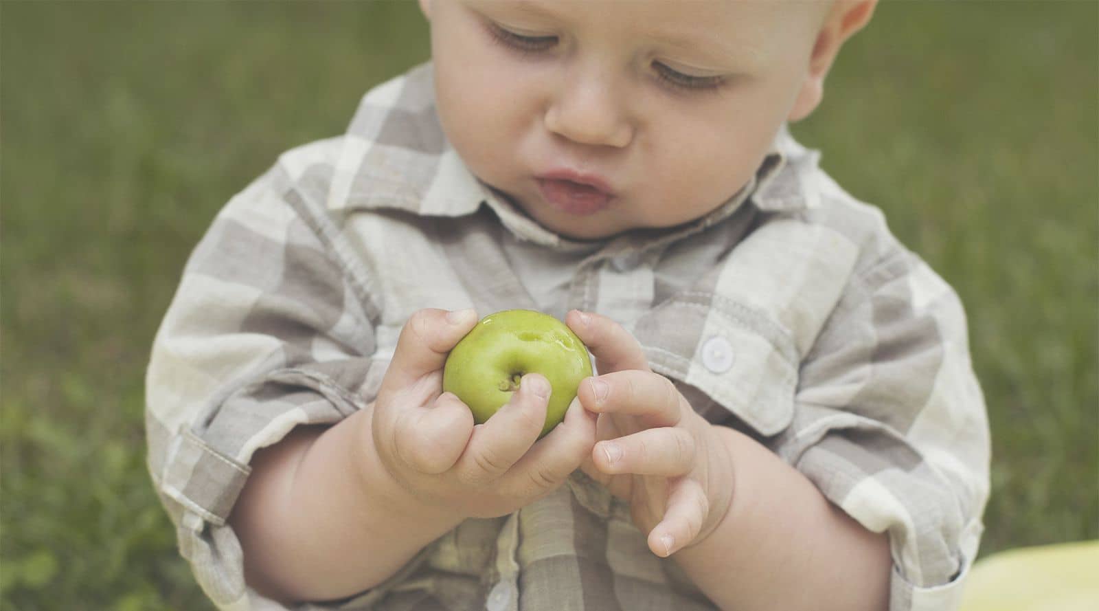 Stage 3 Weaning