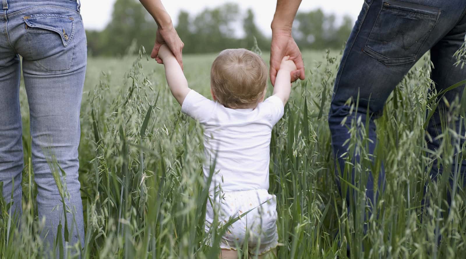 Parents and Toddler holding hands walking through a field of tall grass